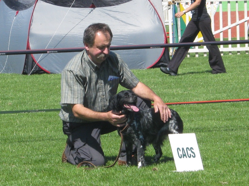 TR. Calypso De coat an duc